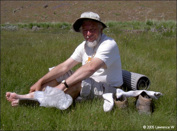 807 shelr bpk 13062005 laszlo nadasdi pothole spring.jpg